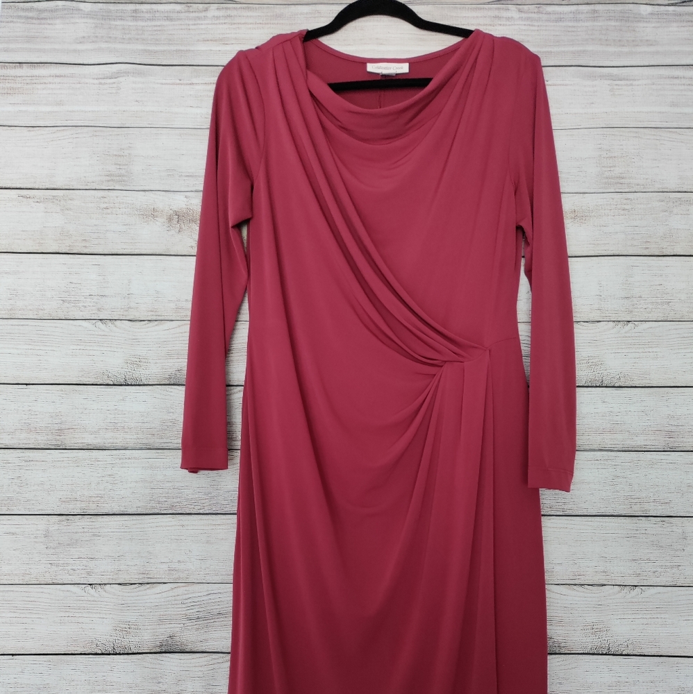 Coldwater Creek long sleeve dress .